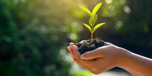 Planting the Future: How Our Seed-Infused Thank You Cards Are Helping the Planet